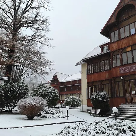 Narcyz B * Świeradów-Zdrój