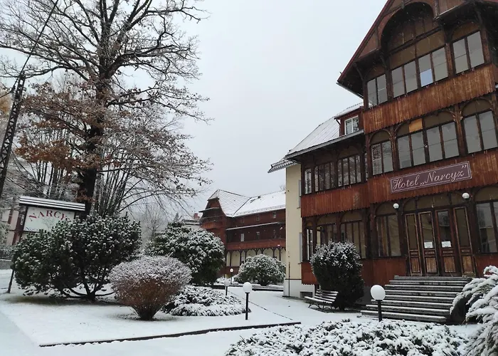 Narcyz B * Świeradów-Zdrój